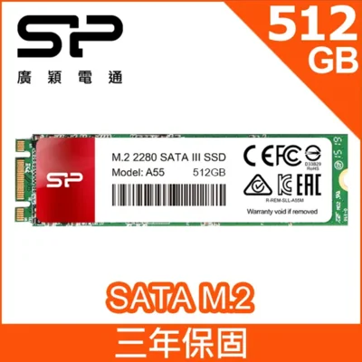 SP 廣穎 A55 512GB