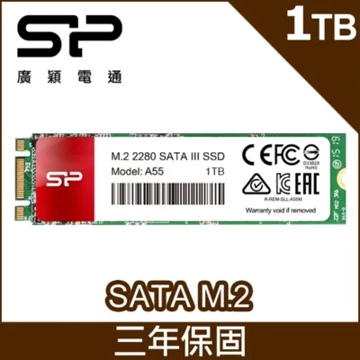 SP 廣穎 A55 1TB
