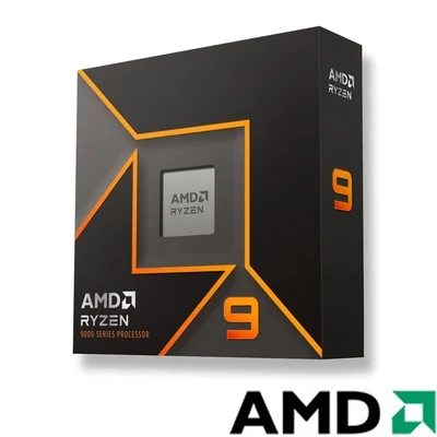 AMD Ryzen 9 9900X