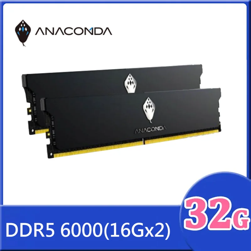 ANACOMDA 巨蟒 KingSnake DDR5 6000 32GB(16Gx2)