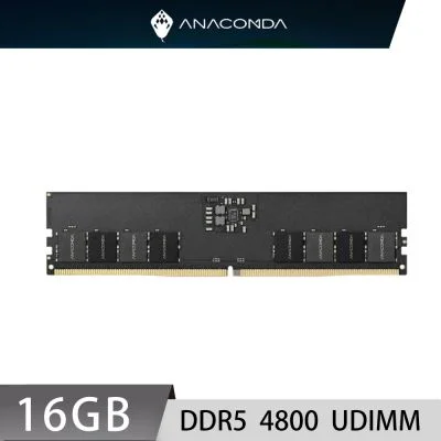 ANACOMDA 巨蟒 DDR5 4800 16GB 桌上型記憶體