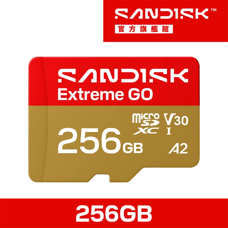 SanDisk Extreme GO microSD UHS-I 256GB