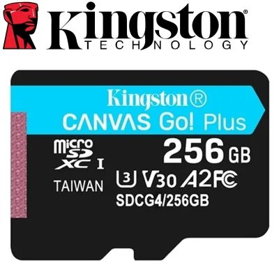 Kingston Canvas Go! Plus microSD 256GB