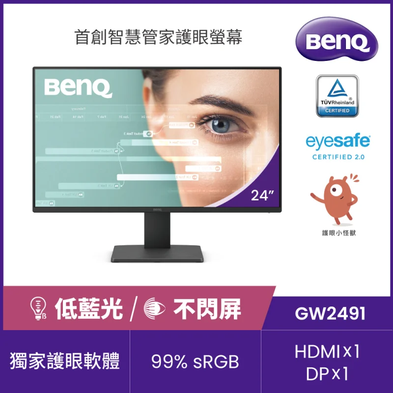 BenQ GW2491