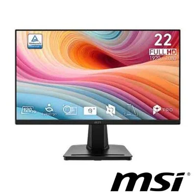 MSI PRO MP225 E12VL