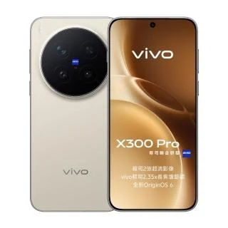 vivo X300 Pro 12GB/256GB