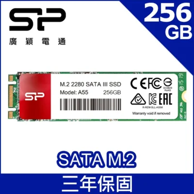 SP 廣穎 A55 256GB